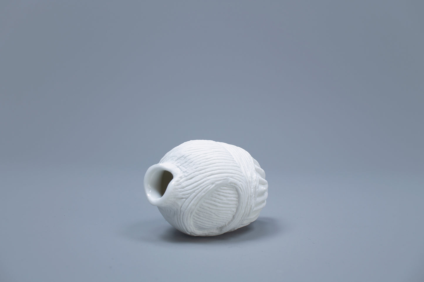 OCEANUS BLADDER