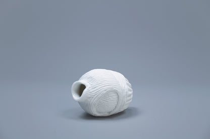 OCEANUS BLADDER