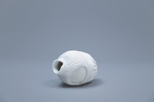 OCEANUS BLADDER