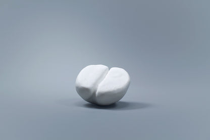 OCEANUS BEAN